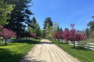 Horse Ranch for Sale