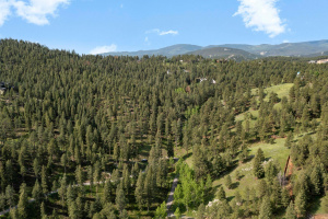 Offering The Rare Opportunity to Own 10+ Acres of Land in Central Evergreen!