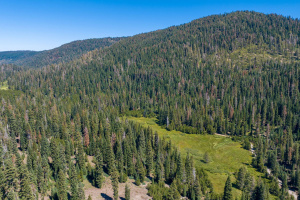 80 Acres of Pristine Land in the Middle of Plumas Eureka State Park