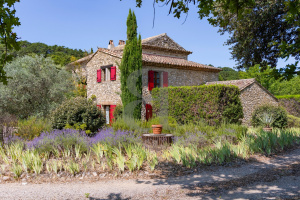 Authentic stone Property with swimming pool in Vaison-la-Romaine area - Exclu...