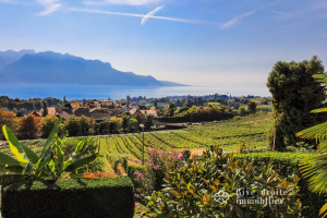 Superb semi-detached villa of 7.5 rooms + kitchen facing the lake in Montreux