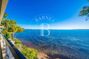 Cannes Palm Beach   Waterfront   Panora0mic Sea View Penthouse & Apartment   ...
