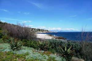 Seasonal rental - Property Antibes (Cap d'Antibes)