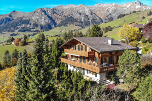 Wonderful family chalet with stunning views
