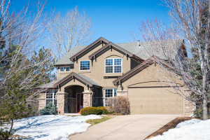 Forest Park Home in Castle Pines!