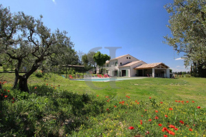 Authentic farmhouse with swimming pool and view of Mont Ventoux in Comtat Ven...