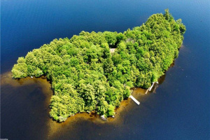 1 Cedar Island for Purchase