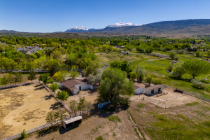 Equestrian Elegance in the Heart of Reno