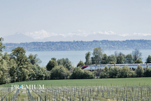 Beautiful charming property with views of the lake in the heart of Céligny