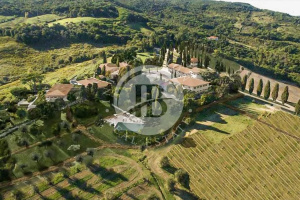 Villa With Boutique Hotel, Spa, And Cellar In Rosignano Marittimo