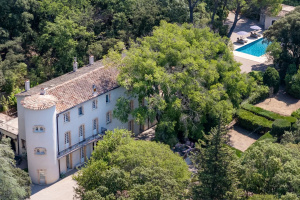 Chateau in Provence, France, with Vineyard and Land